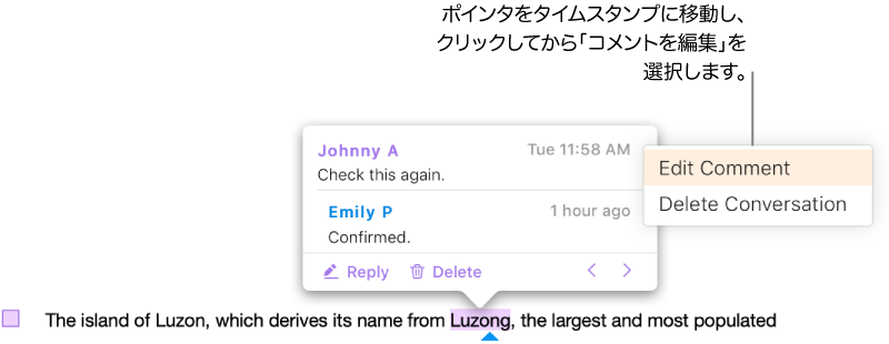 コメントが開かれ、ポインタがタイムスタンプの位置に移動し、ポップアップメニューに「コメントを編集」と「会話を削除」の 2 つのオプションが表示されます。