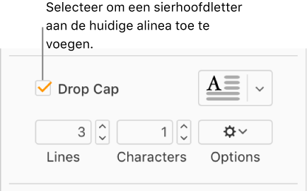 Het aankruisvak Sierhoofdletter is geselecteerd, en rechts ervan staat een venstermenu; knoppen om de regelhoogte, het aantal tekens en andere opties in te schakelen, worden eronder weergegeven.