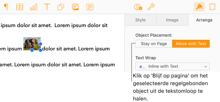 Een regelgebonden afbeelding in de hoofdtekst van een document is geselecteerd, en de knop ‘Blijf op pagina’ is zichtbaar in het tabblad ‘Orden’ in de zijbalk.