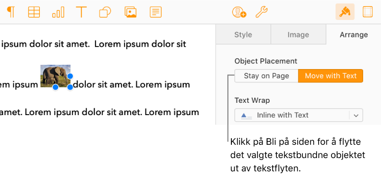 Et tekstbundet bilde i brødteksten er markert, og en Bli på siden-knapp vises i Ordne-fanen i sidepanelet.