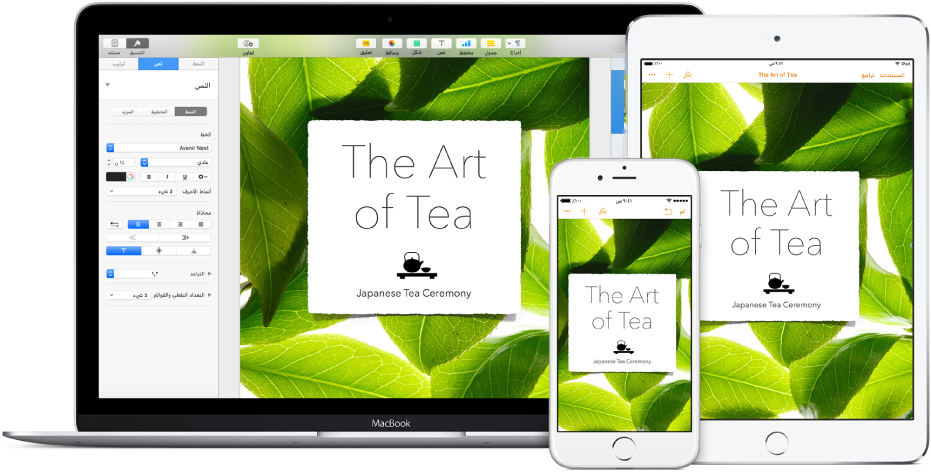 تظهر نفس الملفات والمجلدات في iCloud Drive في نافذة Finder على جهاز Mac وتطبيق iCloud Drive على الـ iPhone والـ iPad.