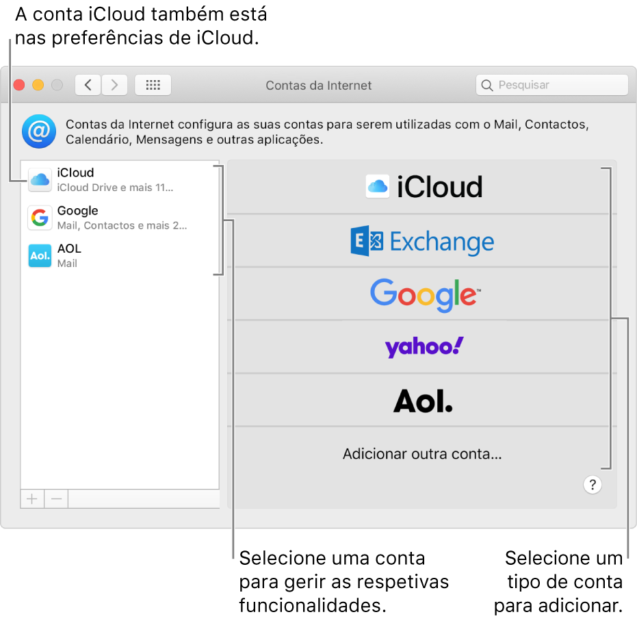 Painel das Preferências de Contas da Internet com contas listadas à direita e os tipos de contas disponíveis listadas à esquerda.