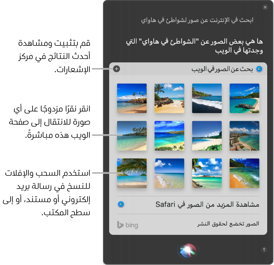 نافذة Siri تعرض نتائج Siri للطلب "البحث في الويب عن صور الشواطئ في هواوي". يمكنك تثبيت النتائج في مركز الإشعارات، أو النقر مرتين على صورة لفتح صفحة الويب التي تحتوي على الصورة، أو سحب صورة إلى بريد إلكتروني أو مستند أو إلى سطح المكتب.