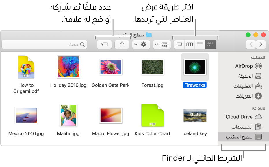 نافذة Finder يظهر فيها الشريط الجانبي لـ Finder على اليمين. يوجد في أعلى يسار النافذة أربعة أزرار يمكنك النقر عليها لتغيير طريقة عرض العناصر في نافذة Finder. على اليسار، يوجد زران يمكنك النقر عليهما لمشاركة الملفات المحددة أو وضع علامة لها.