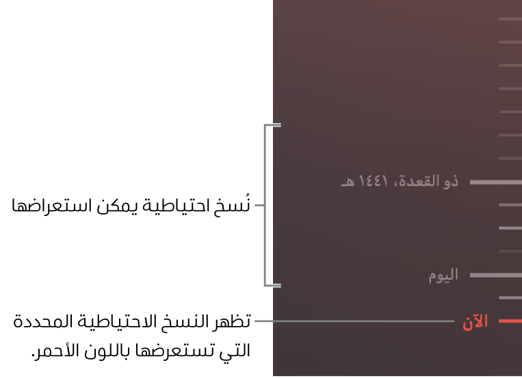 علامات اختيار في المخطط الزمني للنسخ الاحتياطي. علامة اختيار باللون الأحمر تشير إلى النسخة الاحتياطية التي تستعرضها.