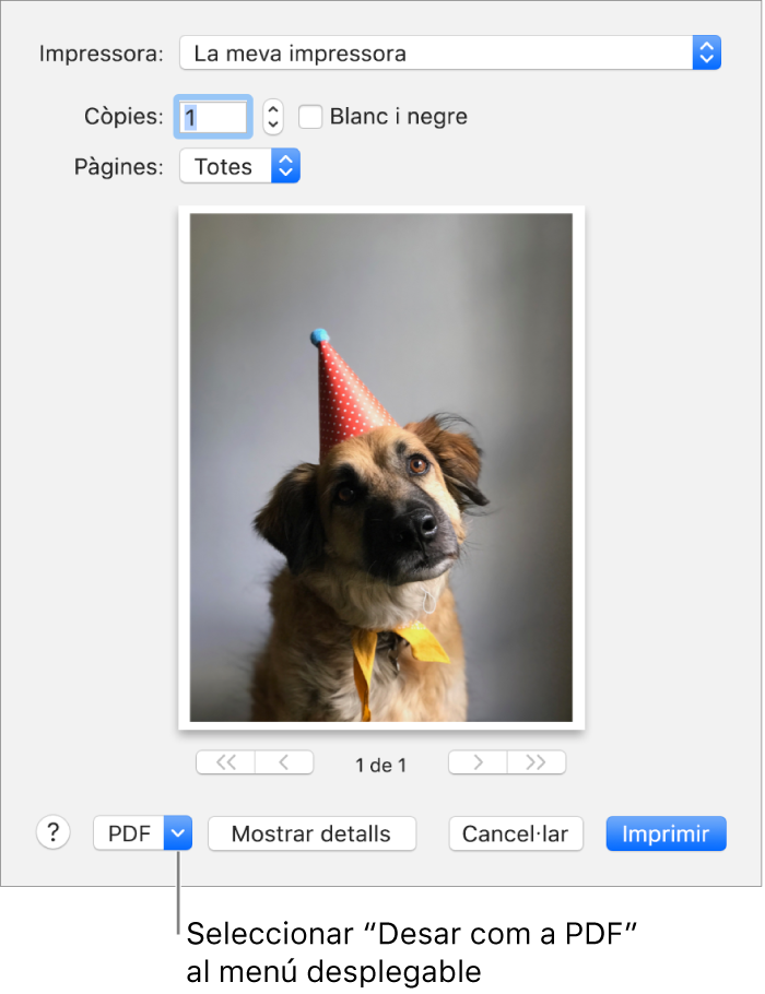 Fes clic al menú desplegable PDF i selecciona “Desar com a PDF”.