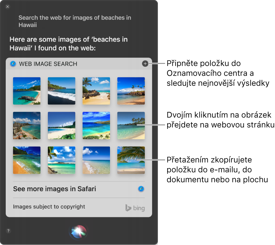 Okno Siri s výsledky vyhledanými Siri po zadání požadavku „Search the web for images of beaches in Hawaii.“. Výsledky můžete přišpendlit v Oznamovacím centru, dvojím kliknutím na obrázek můžete otevřít webovou stránku, která tento obrázek obsahuje, nebo můžete obrázek také přetáhnout do e‑mailu, dokumentu nebo na plochu.