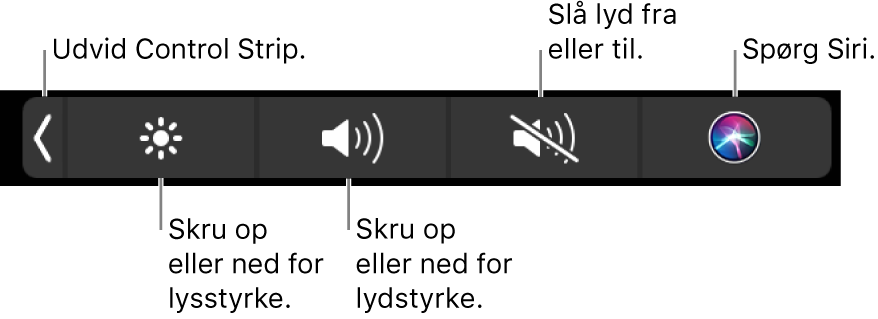 Den formindskede Control Strip har knapper, der fra venstre mod højre udvider Control Strip, skruer op eller ned for skærmens lysstyrke og lydstyrken, slår lyden til eller fra og stiller spørgsmål til Siri.