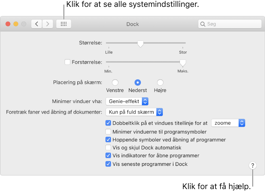 Klik på Vis alle for at se alle indstillingssymboler. Klik på knappen Hjælp for at få flere oplysninger om vinduet.