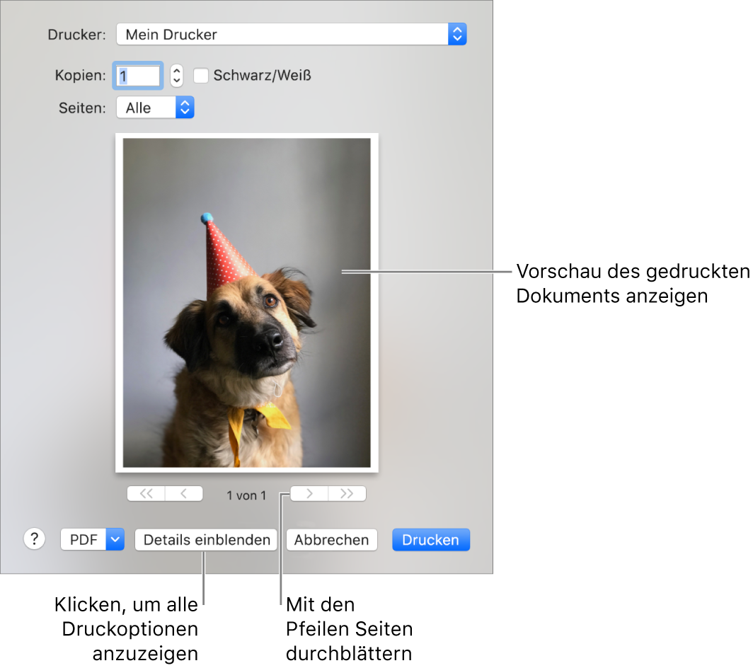 Im Einblendmenü „Drucken“ wird der Status eines Druckers durch Symbole veranschaulicht. Das Dialogfenster „Drucken“ enthält eine kleine Vorschau deines Druckauftrags. Klicke auf „Details einblenden“, um alle Druckoptionen zu sehen.