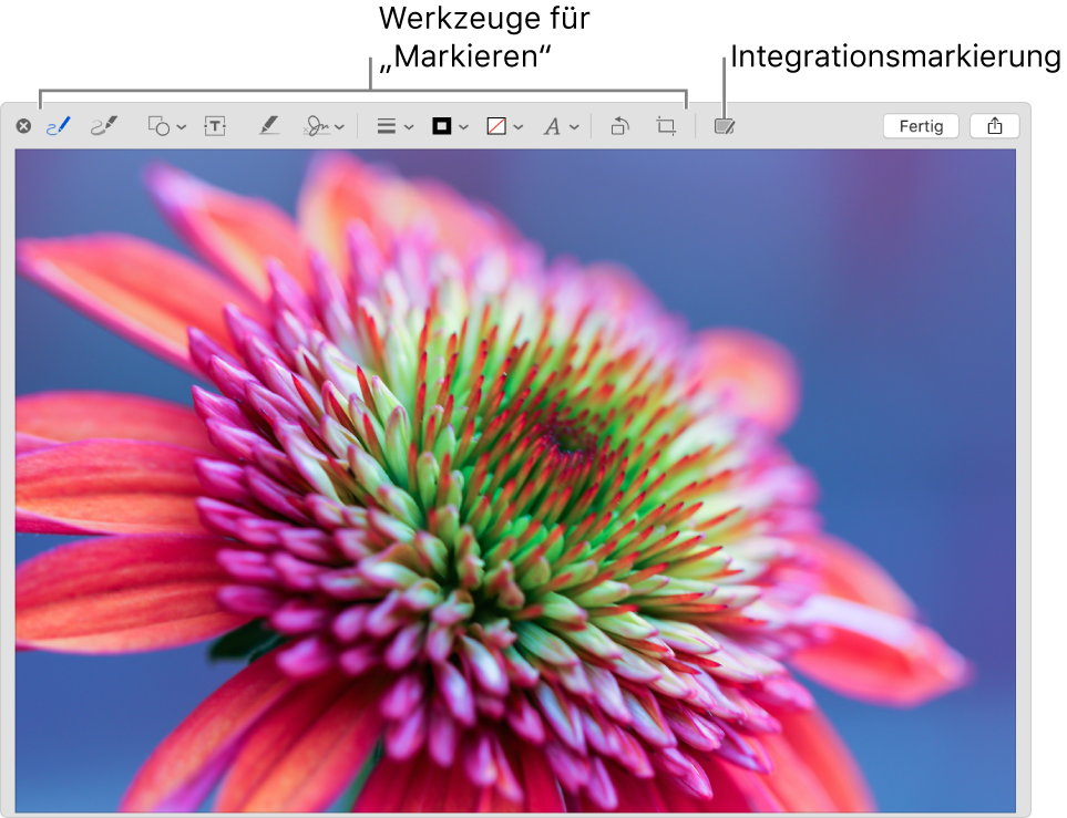 Ein Bild im Fenster „Markierung“ zeigt die Symbolleiste mit den Markierungswerkzeugen sowie das Werkzeug, auf das geklickt werden muss, um die Integrationsoption „Markierung“ auf einem in der Nähe befindlichen iPhone oder iPad zu verwenden.