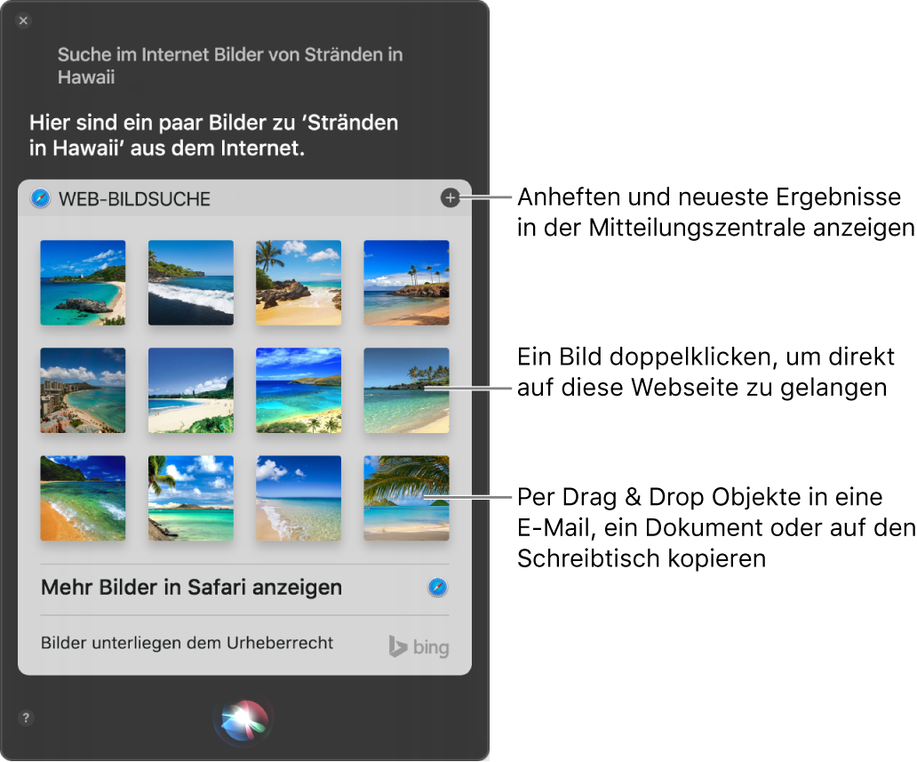 Das Siri-Fenster mit den Ergebnissen von Siri zur Anfrage „Suche im Internet nach Bildern von Stränden auf Hawaii.“ Du kannst die Ergebnisse in der Mitteilungszentrale anheften, auf ein Bild doppelklicken, um die Webseite mit dem Bild zu öffnen, oder ein Bild in eine E-Mail oder Dokument oder auf den Schreibtisch bewegen.