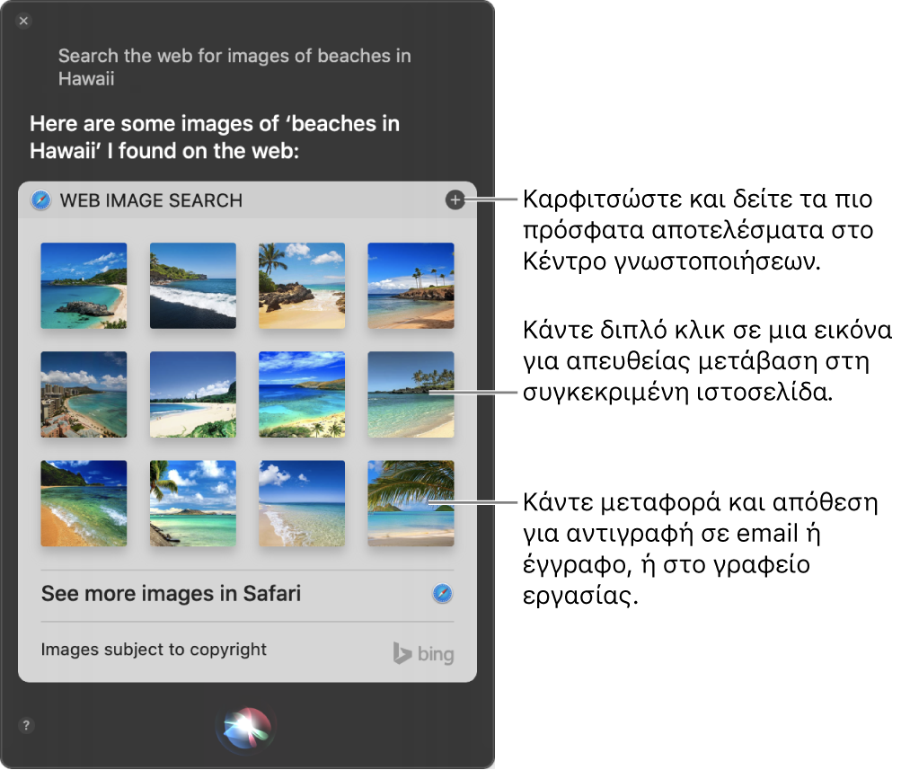 Το παράθυρο Siri με τα αποτελέσματα του Siri για το αίτημα «Search the web for images of beaches in Hawaii». Μπορείτε να καρφιτσώσετε τα αποτελέσματα στο Κέντρο γνωστοποιήσεων, να κάνετε διπλό κλικ σε μια εικόνα για να ανοίξετε την ιστοσελίδα που περιέχει την εικόνα ή να μεταφέρετε μια εικόνα σε ένα email ή έγγραφο ή στο γραφείο εργασίας.