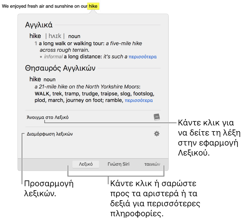Το παράθυρο της Εύρεσης που δείχνει ορισμούς για μια λέξη στο Λεξικό και τον Θησαυρό.
