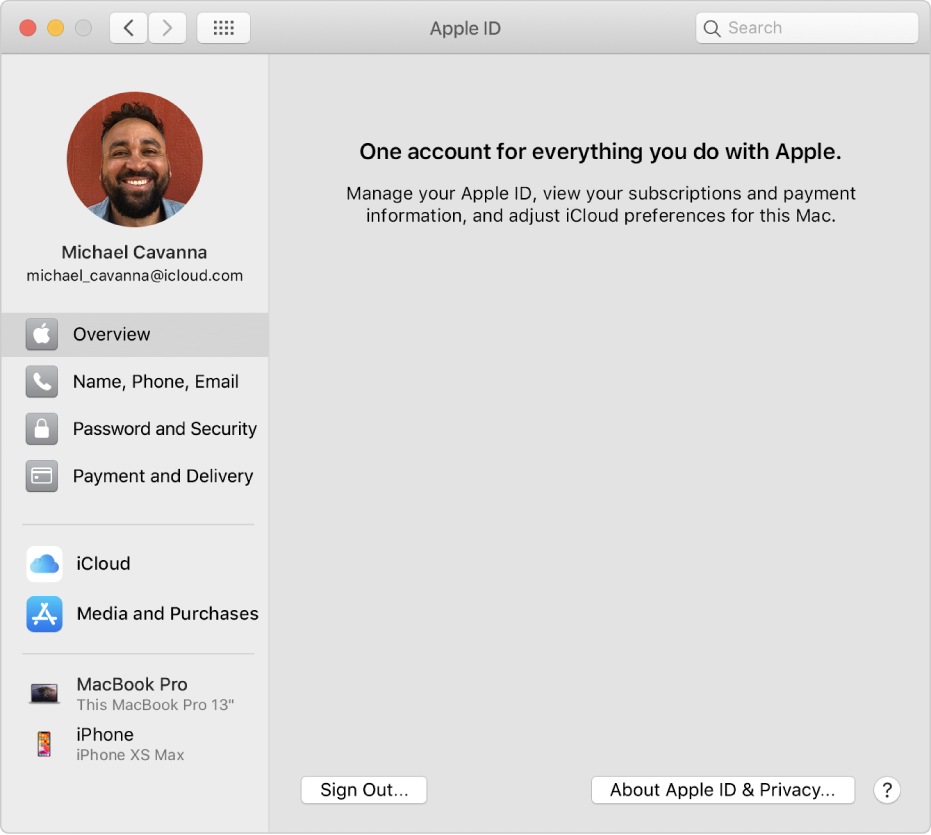 Apple ID preferences showing a sidebar of different types of account options you can use and the Overview preferences that shows a Sign Out button.