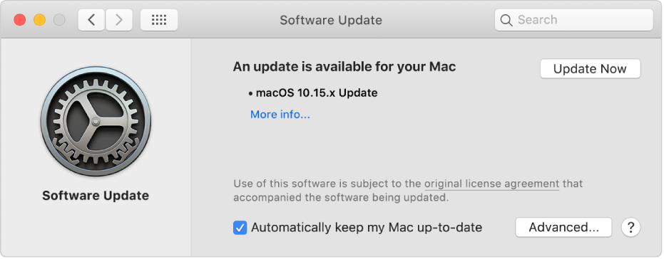 Software Update preferences showing that an update is available.