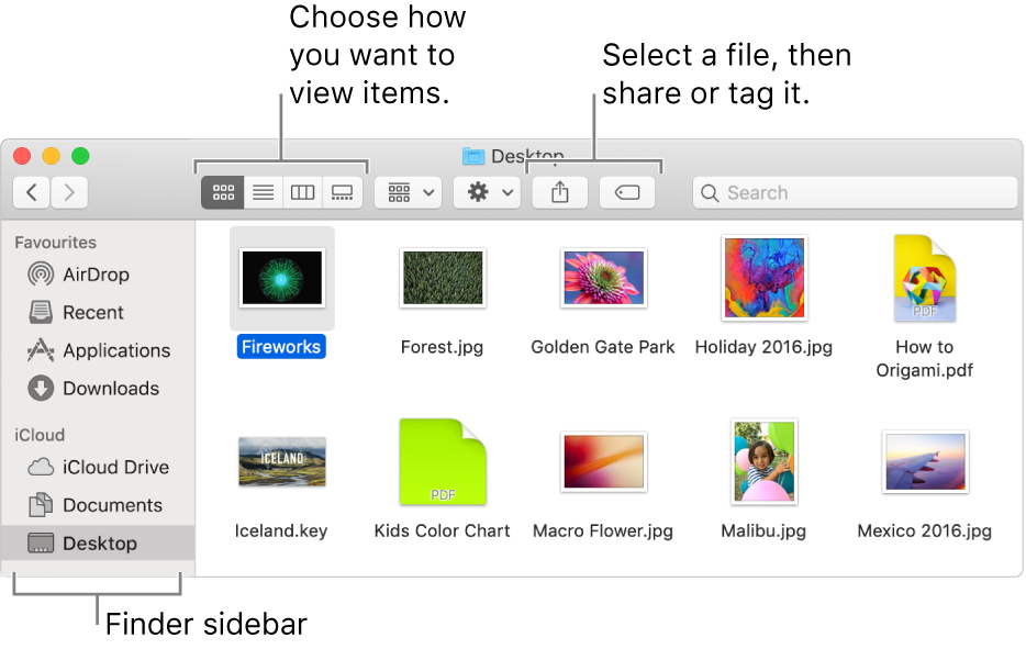A Finder window with the Finder sidebar on the left. At the top left of the window are four buttons that you click to change the way you view items in the Finder window. To the right, are two buttons that you click to share or tag selected files.
