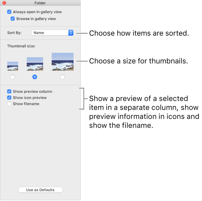 Gallery view options: You can choose how items are sorted, choose a size for thumbnails, show a preview of a selected item in a separate column, show preview information in icons, and show the filename.