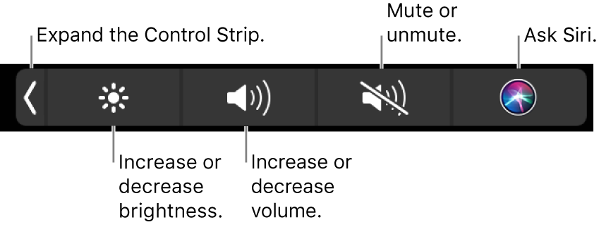 The collapsed Control Strip includes buttons — from left to right — to expand the Control Strip, increase or decrease display brightness and volume, mute or unmute, and ask Siri.