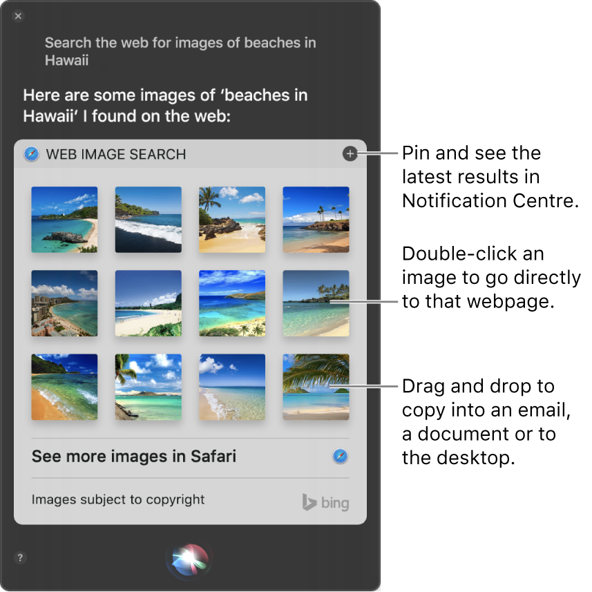 The Siri window showing Siri results to the request “Search the web for images of beaches in Hawaii.” You can pin the results to Notification Centre, double-click an image to open the web page that contains the image, or drag an image into an email or document or to the desktop.