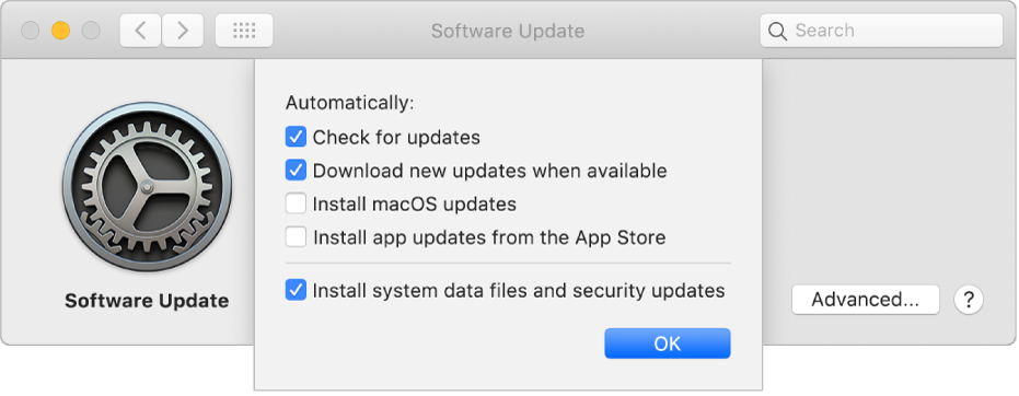 Advanced options for Software Update preferences.
