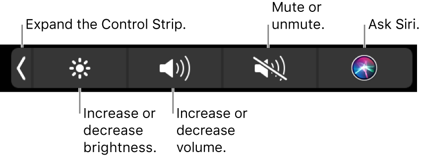 The collapsed Control Strip includes buttons — from left to right — to expand the Control Strip, increase or decrease display brightness and volume, mute or unmute, and ask Siri.