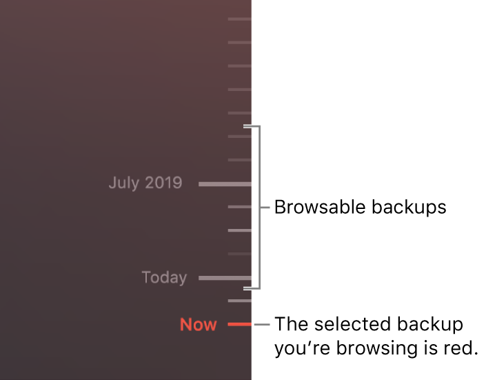 Ticks in the backup timeline. The red tick mark indicates the backup you’re browsing.