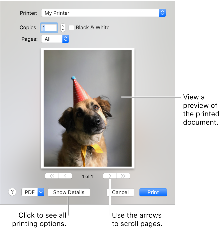 Icons in the Printer pop-up menu indicate the printer’s status. The Print dialog shows a small preview of your print job. Click the Show Details button to see all print options.