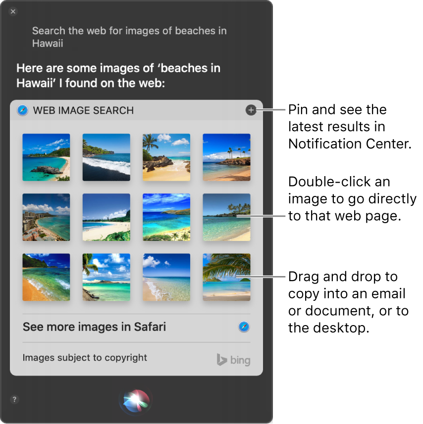 The Siri window showing Siri results to the request “Search the web for images of beaches in Hawaii.” You can pin the results to Notification Center, double-click an image to open the webpage that contains the image, or drag an image into an email or document or to the desktop.