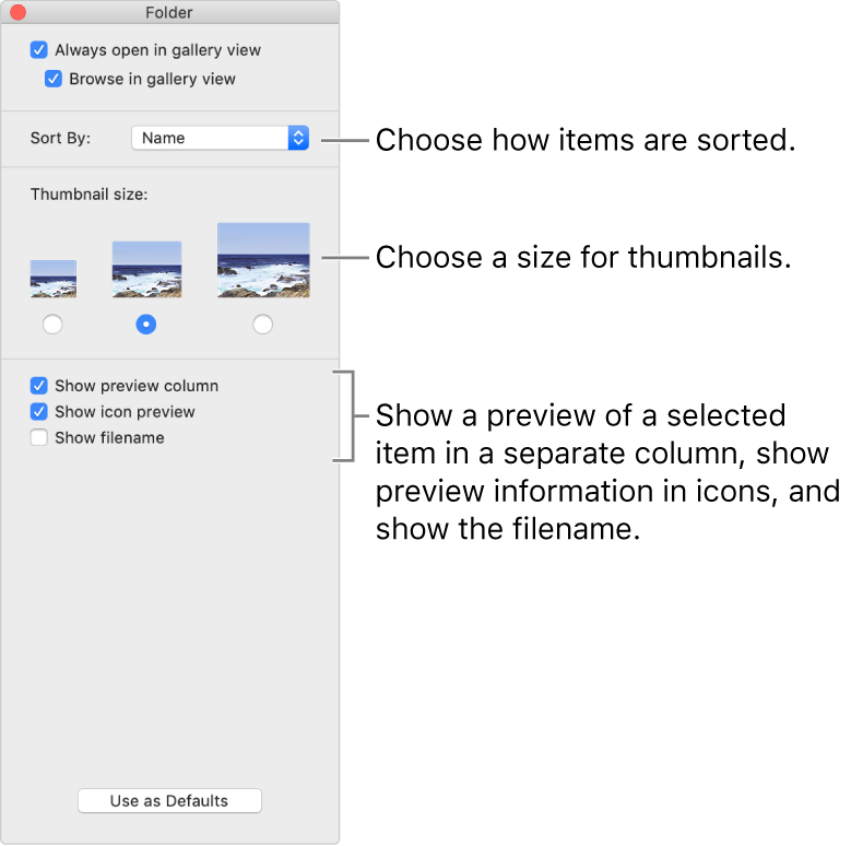 Gallery view options: You can choose how items are sorted, choose a size for thumbnails, show a preview of a selected item in a separate column, show preview information in icons, and show the filename.