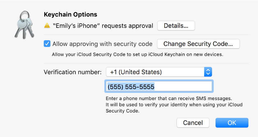 The iCloud Keychain Options dialog with the name of the device requesting approval and a Details button next to it.