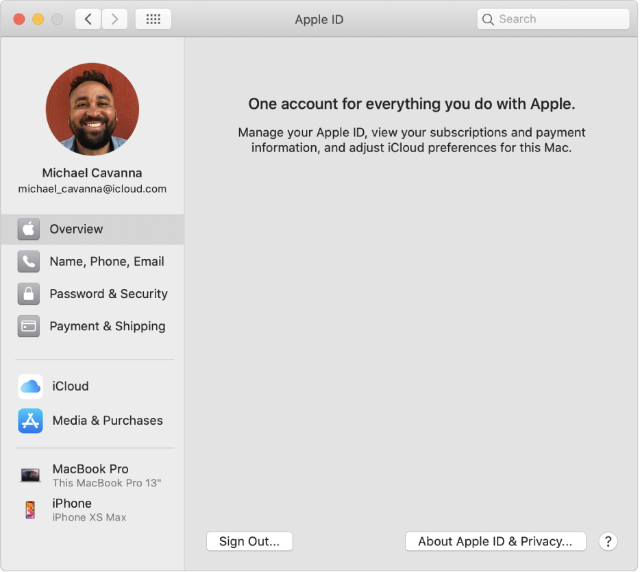 Apple ID preferences showing a sidebar of different types of account options you can use and the Overview preferences that shows a Sign Out button.