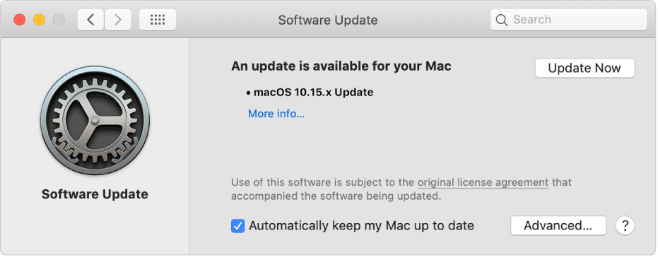 Software Update preferences showing that an update is available.