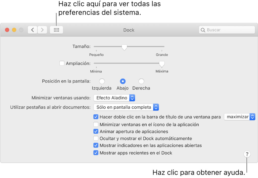 Haz clic en “Mostrar todo” para ver todos los íconos de preferencias. Haz clic en el botón Ayuda para obtener más información sobre el panel.