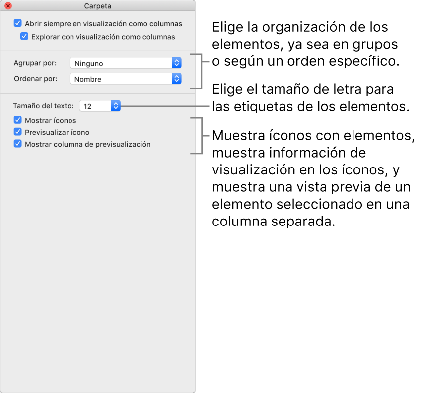 Opciones de visualización por columnas: puedes seleccionar cómo se organizan y ordenan los elementos en grupos, establecer el tamaño de los íconos, mostrar íconos con elementos, mostrar información de previsualización en íconos y mostrar una previsualización de elementos seleccionados en una columna separada.