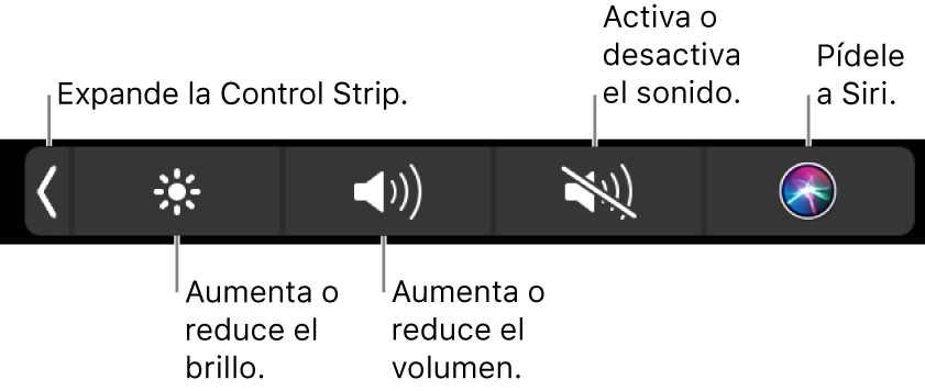 Los botones incluidos en la Control Strip contraída, de izquierda a derecha, para expandir la Control Strip, aumentar o reducir el brillo de la pantalla y el volumen, activar o desactivar el sonido, y pedirle a Siri.