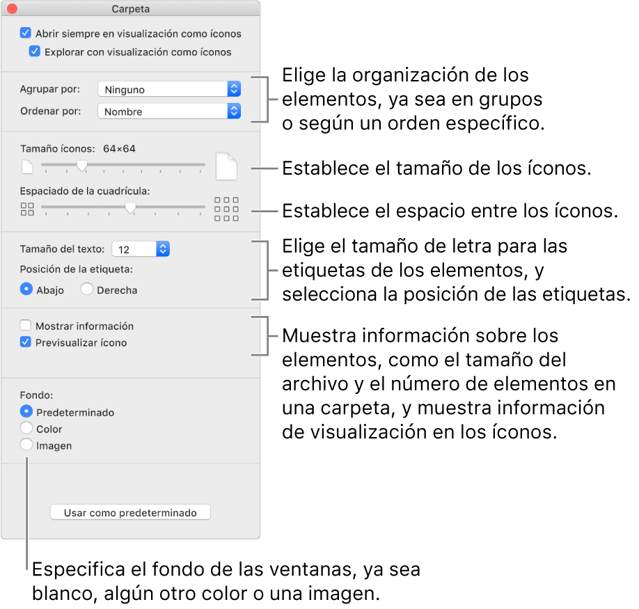 Opciones de visualización por íconos: puedes seleccionar cómo se organizan y ordenan los elementos en grupos, establecer el tamaño de los íconos, establecer el espacio entre íconos, seleccionar el tamaño de letra de las etiquetas de los elementos, seleccionar la posición de la etiqueta, mostrar información sobre los elementos tal como tamaño del archivo y el número de elementos contenidos en una carpeta, mostrar información de previsualización en íconos, y especificar el fondo de la ventana como por omisión, un color o una imagen.