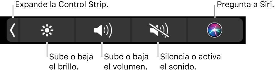 La Control Strip contraída incluye botones, de izquierda a derecha, para expandir la Control Strip, aumentar o reducir el brillo de la pantalla y el volumen, activar o desactivar el sonido, y hacer peticiones a Siri