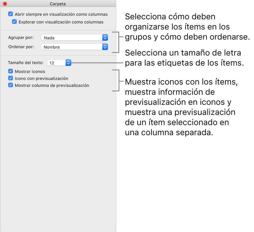 Opciones de visualización como columna: Puedes seleccionar cómo se organizan los ítems en grupos y cómo se ordenan, seleccionar un tamaño de fuente para las etiquetas de los ítems, mostrar iconos con ítems, mostrar información de previsualización en iconos y mostrar una previsualización de los ítems seleccionados en una columna independiente.