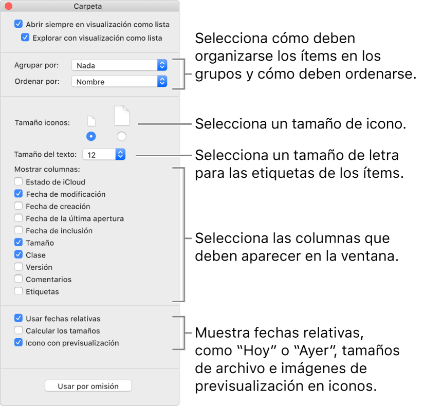 Opciones de visualización como lista: Puedes seleccionar cómo se organizan los ítems en grupos y cómo se ordenan, establecer el tamaño del icono, seleccionar un tamaño de fuente para las etiquetas de los ítems, seleccionar las columnas que se muestran en la ventana y mostrar fechas relacionadas como “Hoy” o “Ayer”, tamaños de archivo, y previsualizar imágenes en iconos.