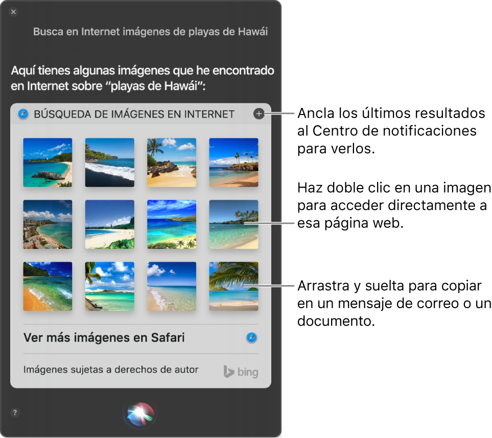 La ventana de Siri mostrando los resultados de Siri a la petición “Busca en la web imágenes de playas de Hawái”. Puedes pinchar los resultados en el centro de notificaciones, hacer doble clic en una imagen para abrir la página web que contiene la imagen o arrastrar una imagen a un correo electrónico o documento, o bien al escritorio.