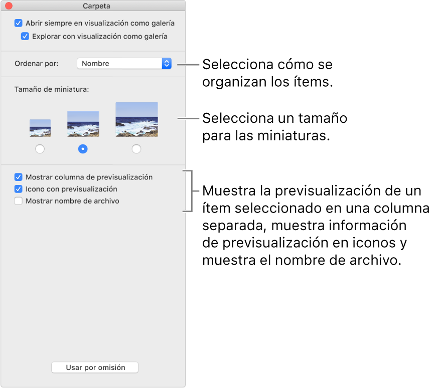 Opciones de visualización como galería: Puedes escoger cómo se ordenan los ítems, seleccionar un tamaño para las miniaturas, mostrar una previsualización de un ítem seleccionado en una columna independiente, mostrar información de previsualización en iconos y mostrar el nombre del archivo.