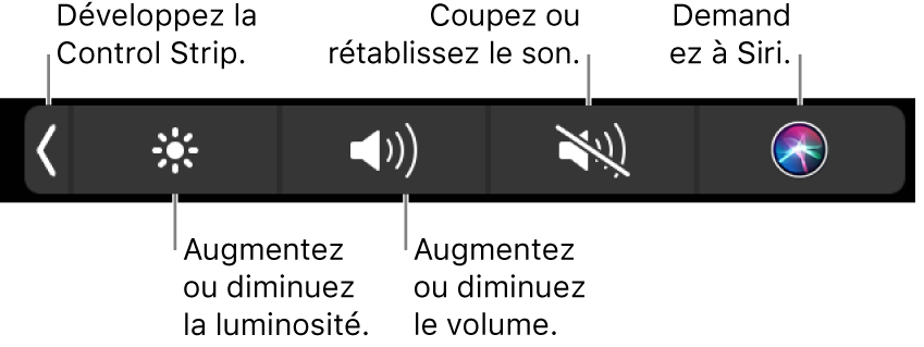 La Control Strip condensée comprend des boutons de gauche à droite, pour développer la Control Strip, augmenter ou baisser la luminosité de l’écran ou le volume, couper ou rétablir le son et demander des choses à Siri.
