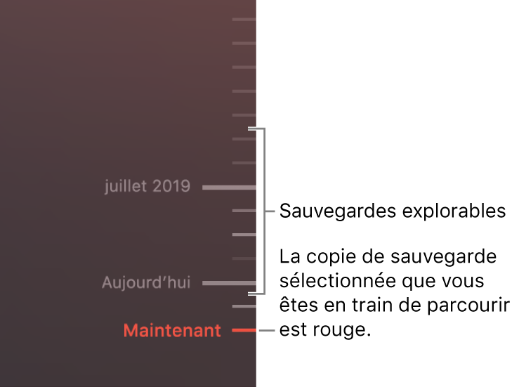 Graduations de la chronologie de sauvegarde. La gradation rouge indique la sauvegarde que vous consultez.