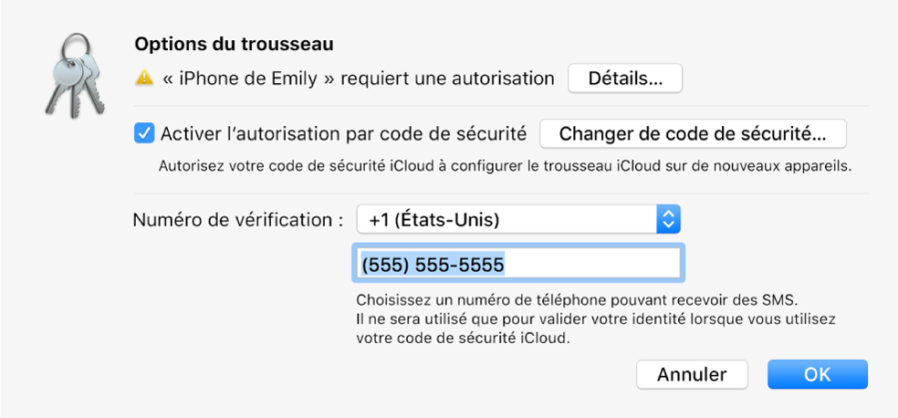 La zone de dialogue Options de Trousseau iCloud avec le nom de l’appareil demandant l’approbation et le bouton Détails à côté.