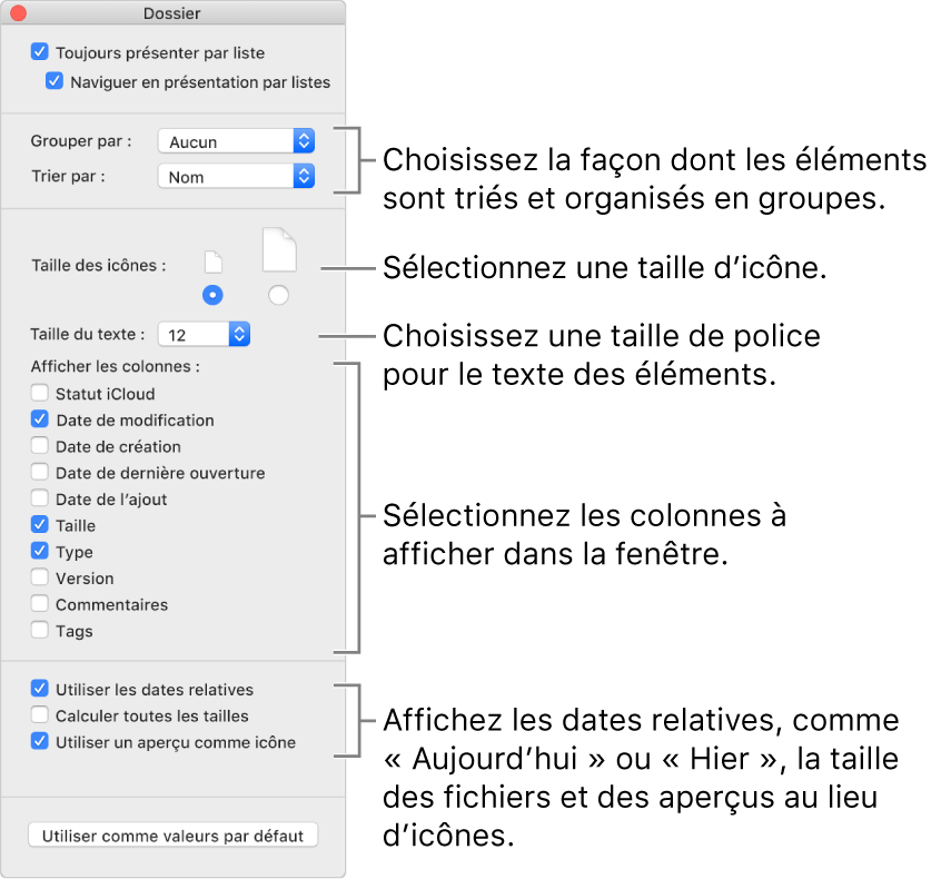Options de la présentation par liste : Vous pouvez choisir le mode d’organisation et de tri des groupes, définir la taille des icônes, choisir une taille de police pour les étiquettes d’éléments, choisir les colonnes qui apparaissent dans la fenêtre et afficher des dates relatives, telles que « Aujourd’hui » ou « Hier », des tailles de fichiers et des images d’aperçu dans les icônes.
