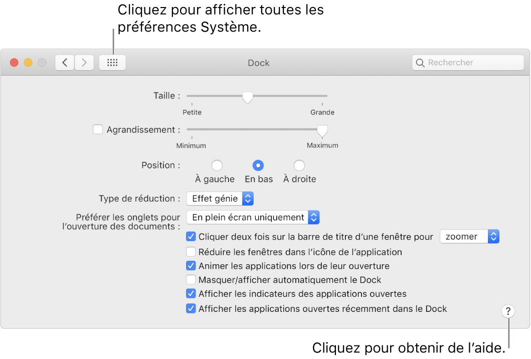 Cliquez sur Tout afficher pour afficher toutes les icônes de préférences. Cliquez sur le bouton Aide pour obtenir plus d’informations sur la sous-fenêtre.