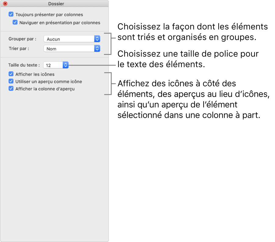 Options de la présentation par colonnes : Vous pouvez choisir le mode d’organisation et de tri des groupes, choisir une taille de police pour les étiquettes d’éléments, afficher des icônes avec des éléments, afficher des informations d’aperçu dans les icônes et afficher un aperçu des éléments sélectionnés dans une colonne distincte.