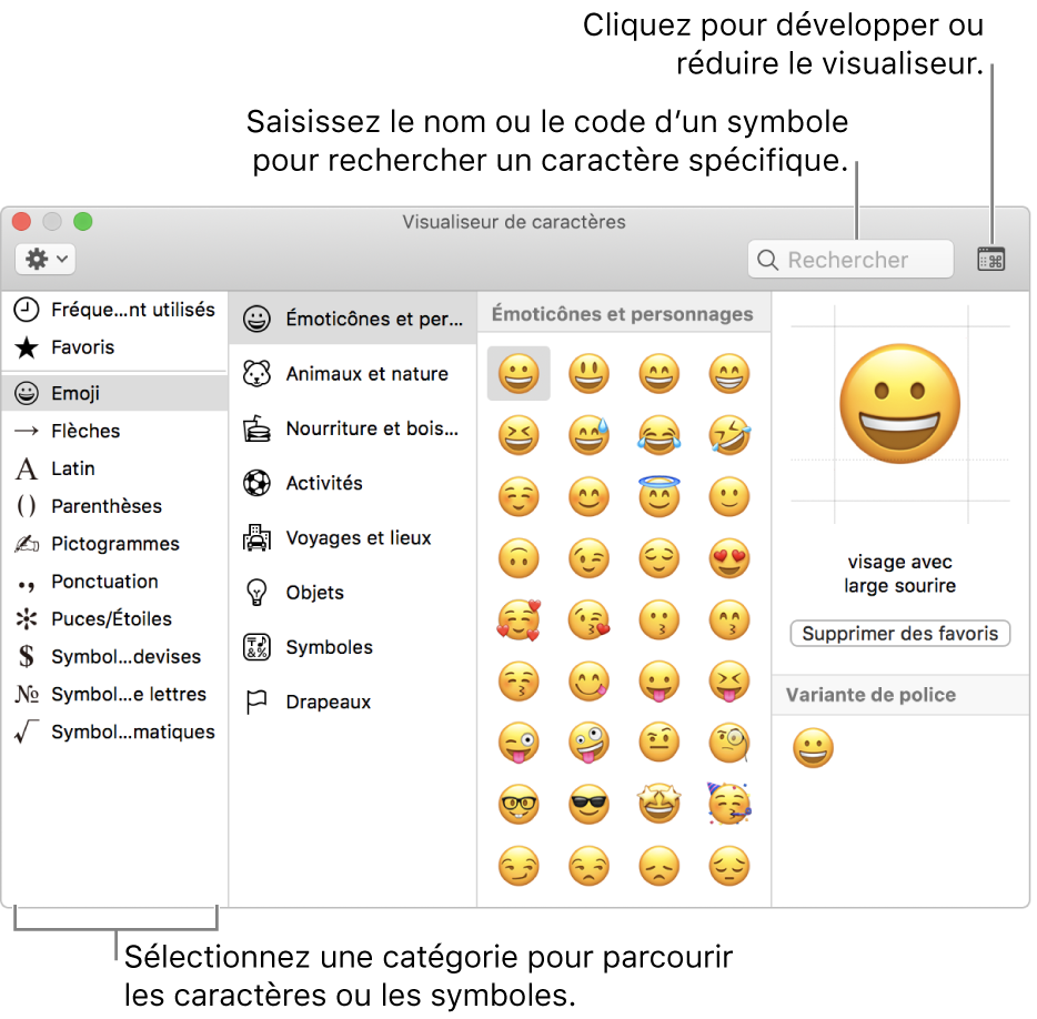 La fenêtre Visualiseur de caractères. Sélectionnez une catégorie à gauche pour parcourir les caractères ou les symboles. Dans le champ de recherche, saisissez un nom ou un code de symbole pour trouver un caractère spécifique. Cliquez dans le coin supérieur droit pour développer ou condenser le visualiseur.