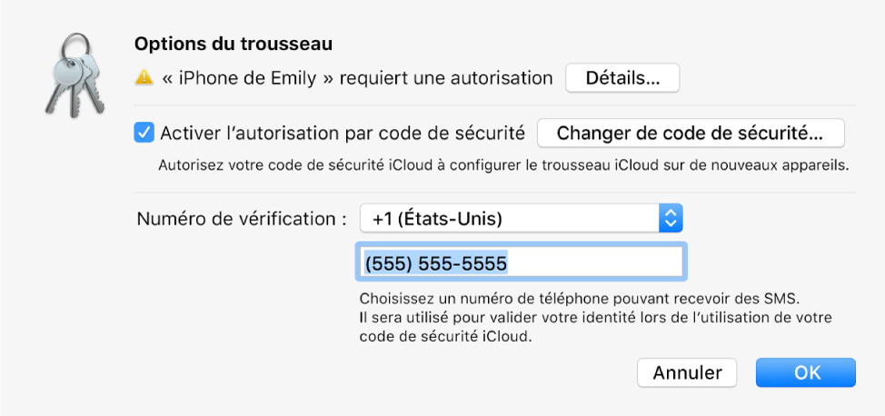 La zone de dialogue Options de Trousseau iCloud avec le nom de l’appareil demandant l’approbation et le bouton Détails à côté.